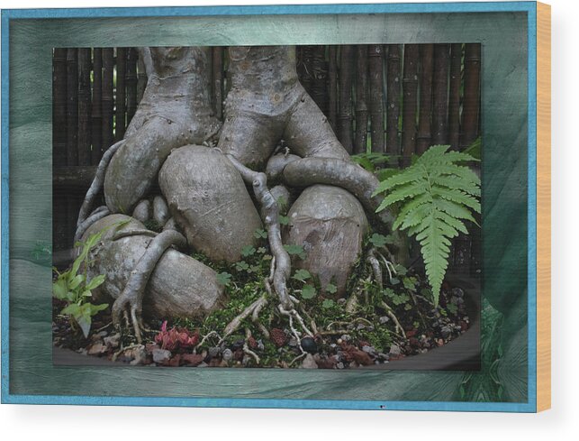 Bonsai Wood Print featuring the photograph Muscular Bonsai Roots by Richard Goldman