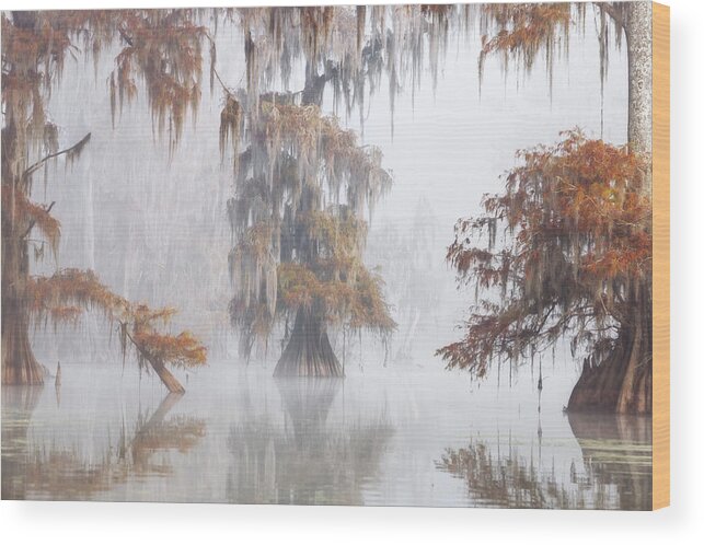 Landscape Wood Print featuring the photograph Mysty Bayou by Roberto Marchegiani