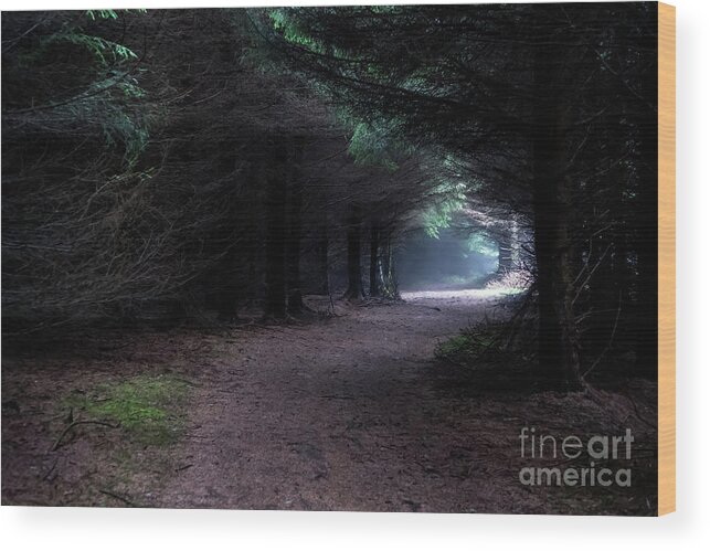 Wood Wood Print featuring the photograph Narrow Path Through Foggy Mysterious Forest by Andreas Berthold