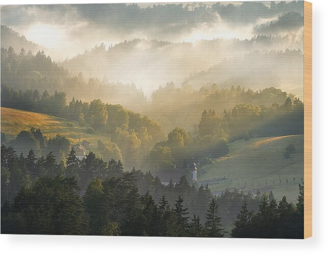 Fog Wood Print featuring the photograph National Park Czech Switzerland by Martin Morvek