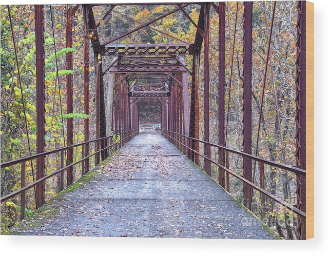 Obed Wild And Scenic River National Park Wood Print featuring the photograph Nemo Bridge Trail 1 by Phil Perkins