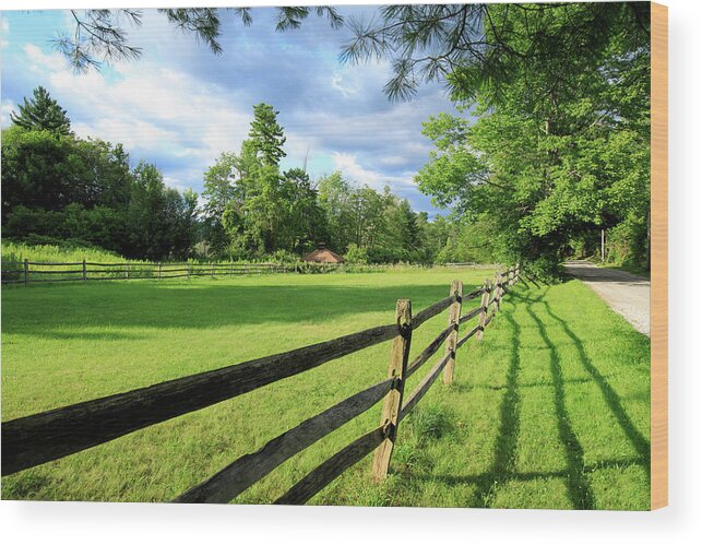 New England Wood Print featuring the photograph New England Field #1620 by Michael Fryd