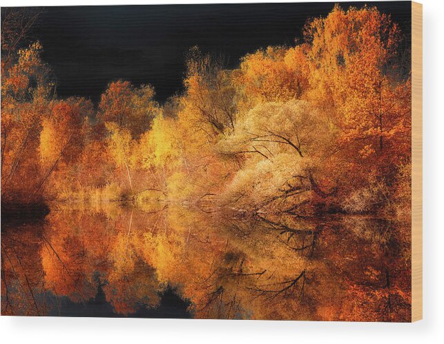 Autumn Wood Print featuring the photograph New Look by Philippe Sainte-Laudy