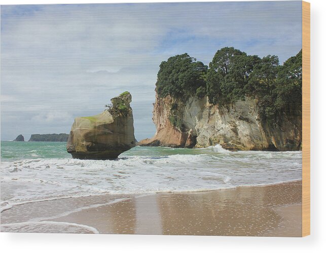 New Zealand Wood Print featuring the photograph New Zealand by Karen Williams