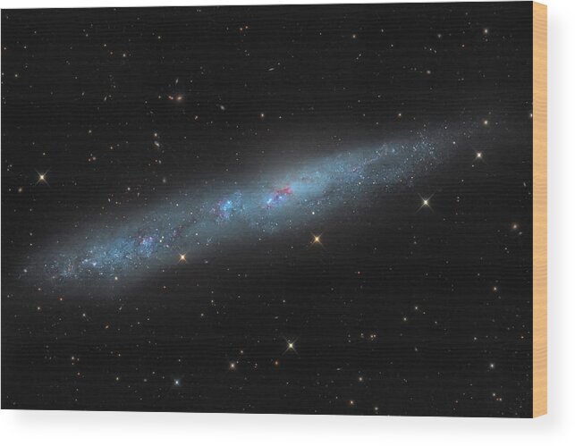 Horizontal Wood Print featuring the photograph Ngc 55, A Dwarf Galaxy In Sculptor by Michael Miller