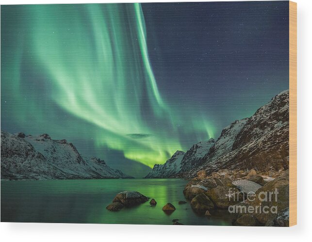 Beauty Wood Print featuring the photograph Northern Lights Above Waters Edge by Jamen Percy