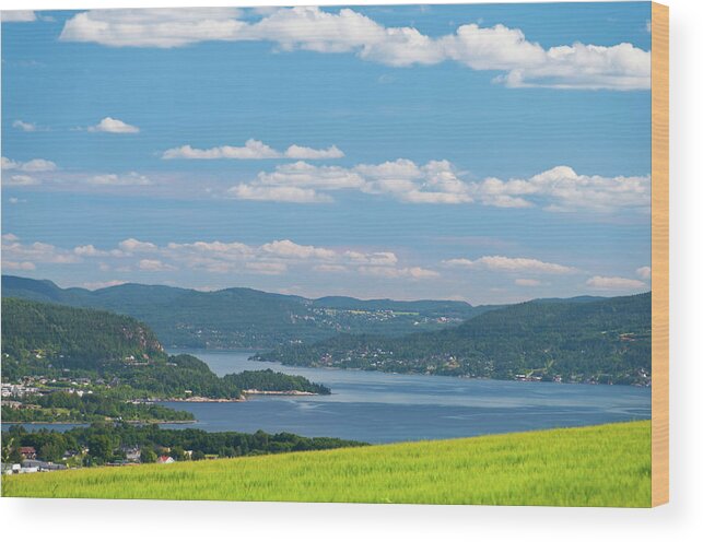 Scenics Wood Print featuring the photograph Norwegian Fjord Landscape by Martin Wahlborg