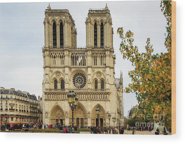 Notre Dame Cathedral Paris France Wood Print featuring the photograph Notre Dame Cathedral Paris France by Wayne Moran