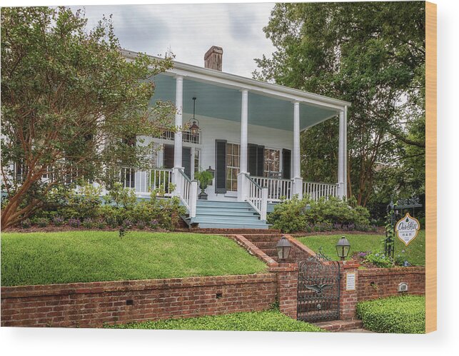 Oak Hill Wood Print featuring the photograph Oak Hill - Natchez, Mississippi by Susan Rissi Tregoning