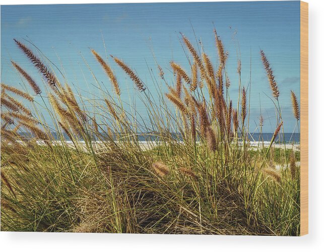 Beach Wood Print featuring the photograph Ocean Blvd by Bill Chizek