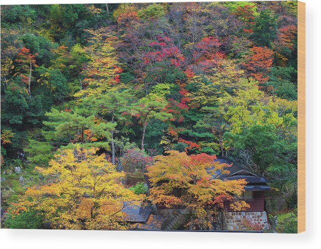 Okayama Prefecture Wood Print featuring the photograph Okutsu Gorge, Okayama Prefecture by Keita Sawaki/a.collectionrf