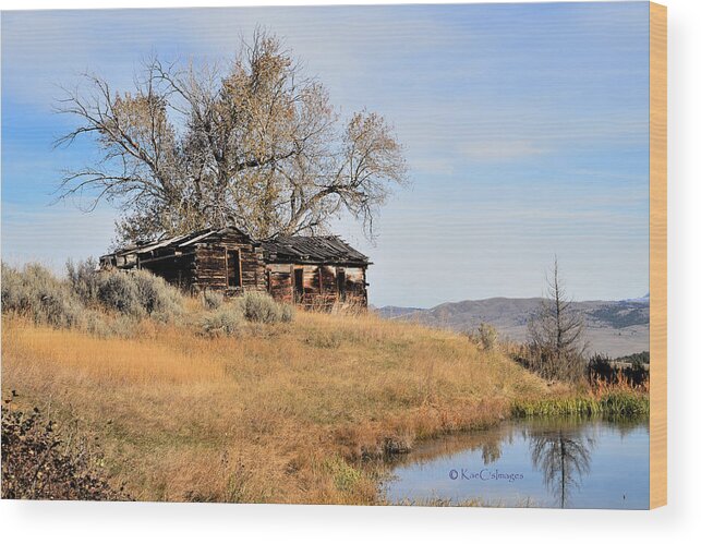 Old Log House Wood Print featuring the photograph Old Homestead by Pond by Kae Cheatham