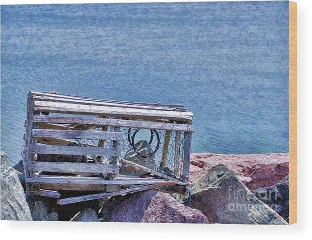 Old Lobster Trap by the Ocean Wood Print