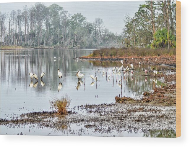 Birds Wood Print featuring the photograph Old Rice Pond by Scott Hansen