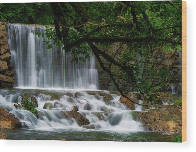 Dam Wood Print featuring the photograph Oldest Dam in Tennessee on Big Creek by Dee Browning