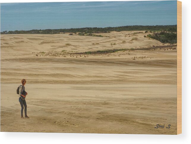 Outerbanks Wood Print featuring the photograph On the Dunes by Bearj B Photo Art