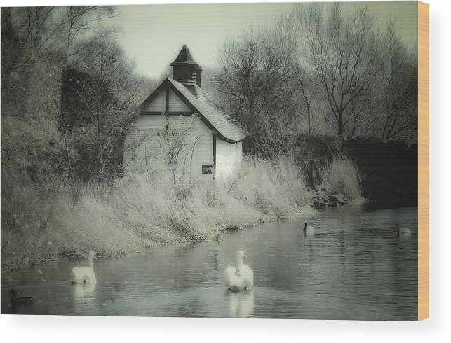 Loch
Birds
Fowl
Cottage
Calmness Wood Print featuring the photograph One Day At A Time by Ray Clark