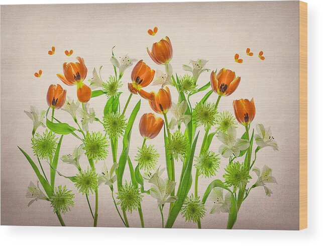 Green Wood Print featuring the photograph Orange Tulip & Green Chrysanthemum by Lydia Jacobs