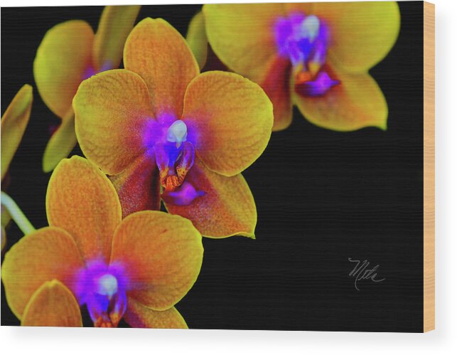 Orchid Wood Print featuring the photograph Orchid Study Ten by Meta Gatschenberger