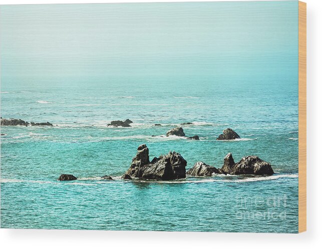 Cape Lookout Oregon Wood Print featuring the photograph Oregon Coast 0593 by Amyn Nasser Photographer