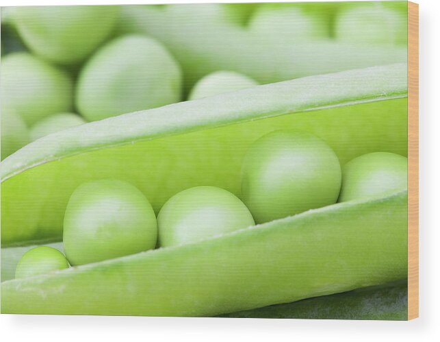 Pea Pod Wood Print featuring the photograph Organic Peas by Andrew Dernie