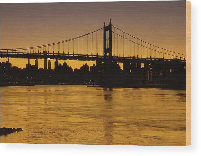 Gold Wood Print featuring the photograph Oro Sunset by Cate Franklyn