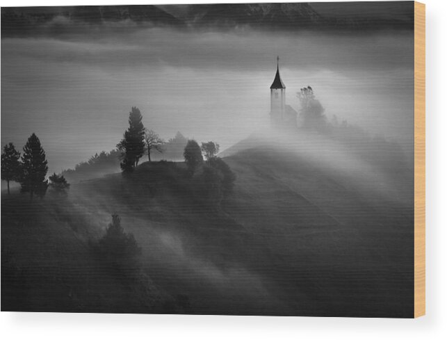 Dusk Wood Print featuring the photograph Out Of The Mist by Sandi Bertoncelj