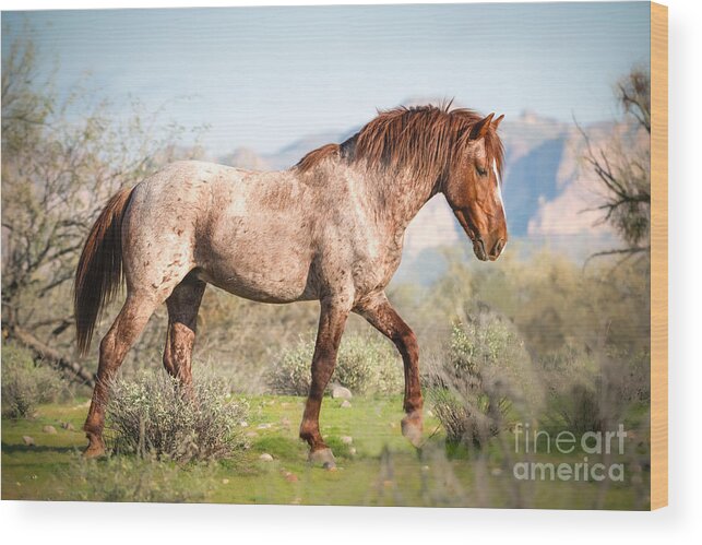 Horse Wood Print featuring the photograph Owning It by Lisa Manifold