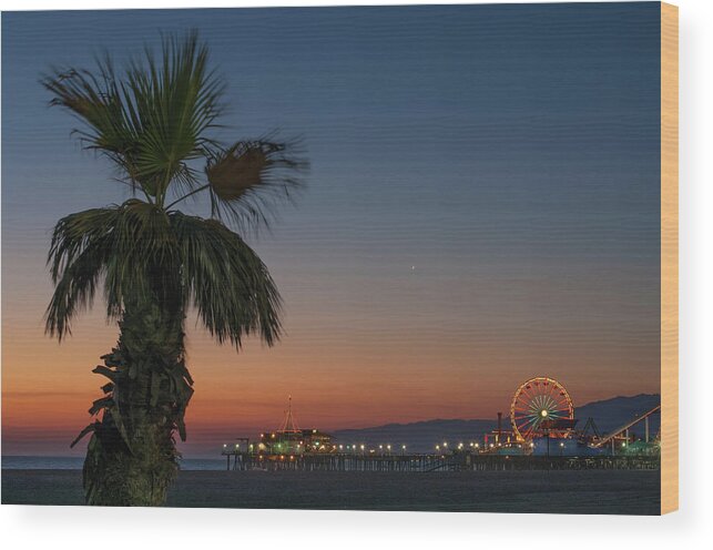 Tranquility Wood Print featuring the photograph Palm Tree On Beach At Sunset by Cultura Rf/antonio Saba