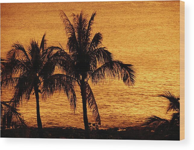 Hawaii Wood Print featuring the photograph Palm Tree Sunset by Marty Klar