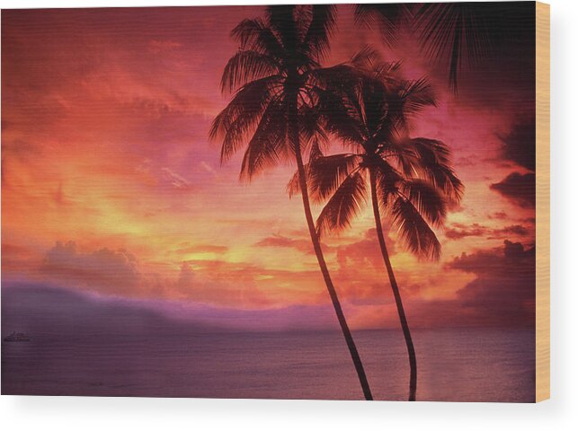 Scenics Wood Print featuring the photograph Palm Trees Sunset by Lyle Leduc