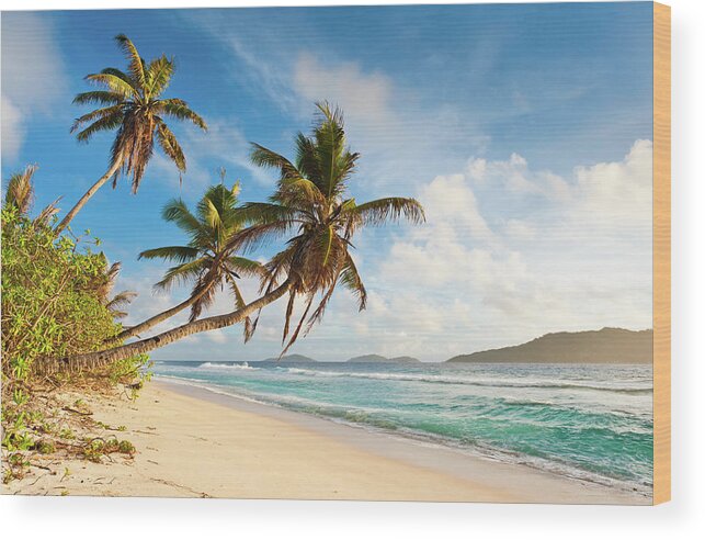 Water's Edge Wood Print featuring the photograph Palm Trees Waving Over Tropical Island by Fotovoyager