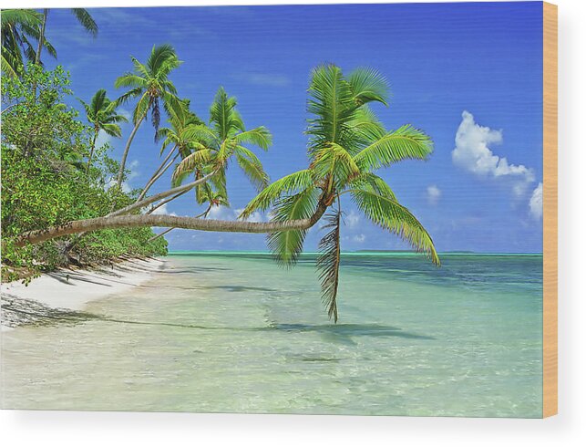Shadow Wood Print featuring the photograph Palmtrees Over Azure Waters In Tonga by Limewave - Inspiration To Exploration