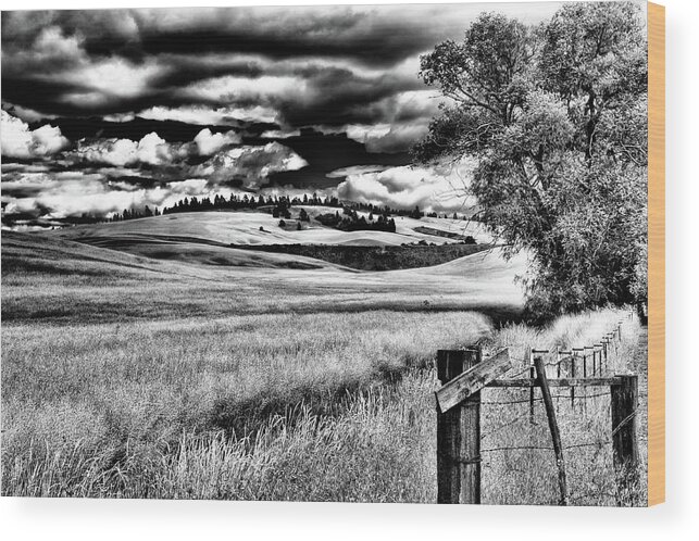Hdr Wood Print featuring the photograph Palouse Magic by David Patterson