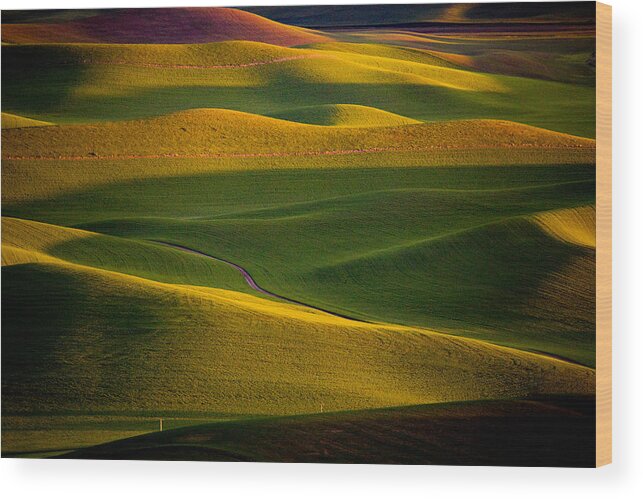 Fields Wood Print featuring the photograph Palouse Sunset by April Xie