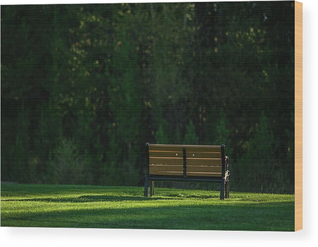 Bench Wood Print featuring the photograph Park bench at sunrise by Julieta Belmont