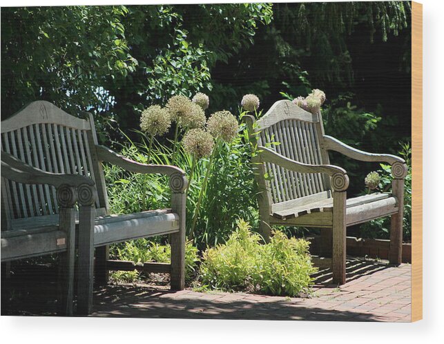 Park Bench Wood Print featuring the photograph Park Benches at Chicago Botanical Gardens by Colleen Cornelius