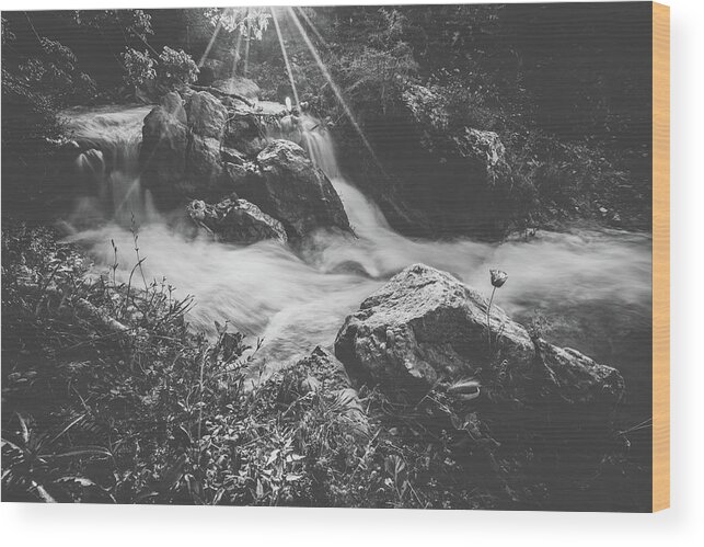 Waterfall Wood Print featuring the photograph Parod Falls - black and white by Mati Krimerman