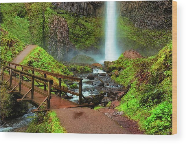 Columbia River Gorge Wood Print featuring the photograph Path at base of Lautrolla Falls by Dee Browning