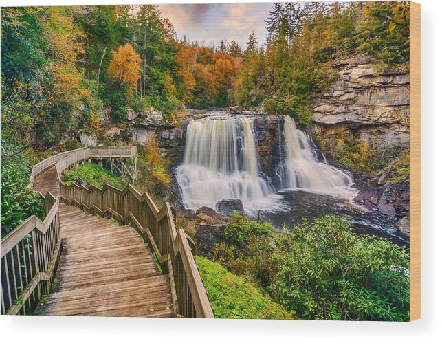 Wv Wood Print featuring the photograph Pathway to Blackwater Falls by Amanda Jones