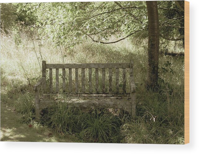 Empty Wood Print featuring the photograph Peaceful by Tanya C Smith