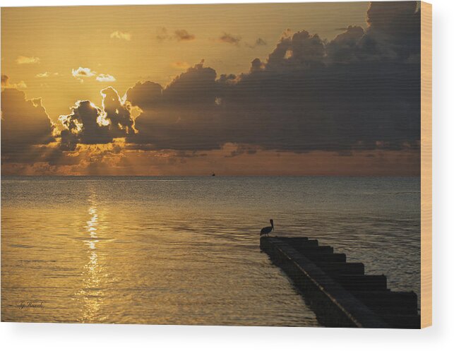 Sunrise Wood Print featuring the photograph Pelican Gold by Ty Husak