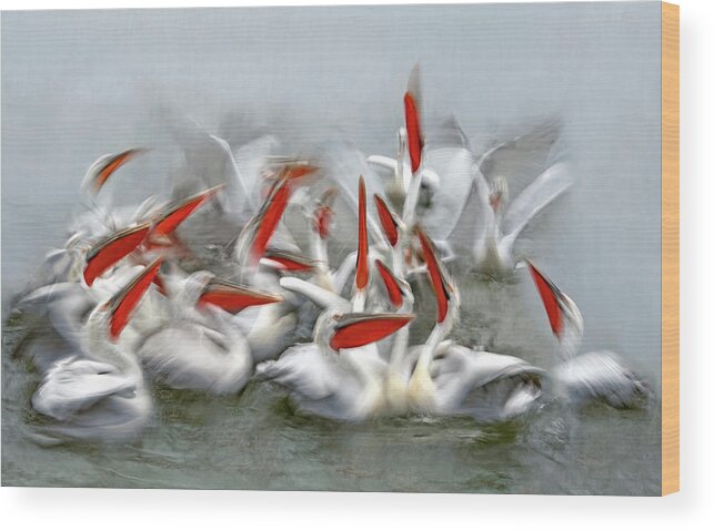 Pelicans Wood Print featuring the photograph Pelicans In Motion Blur by Xavier Ortega