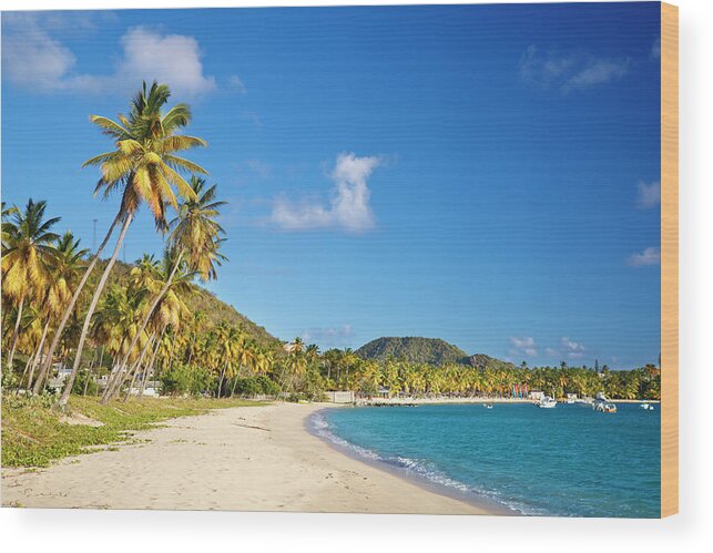 Water's Edge Wood Print featuring the photograph Perfect Caribbean Beach With Blue Sky by Michaelutech