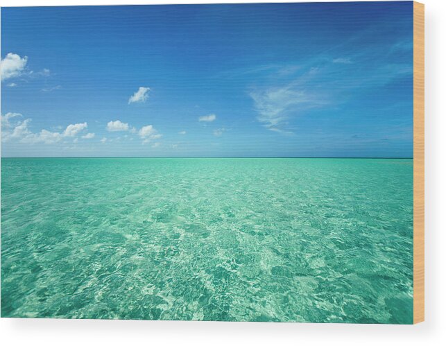 Underwater Wood Print featuring the photograph Perfect Water by Bluberries