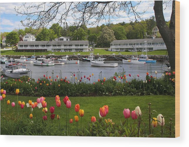 Perkins Cove Wood Print featuring the photograph Perkins Cove Maine by Imagery-at- Work