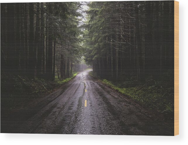 Forest Wood Print featuring the photograph Petrichor by Jason Roberts