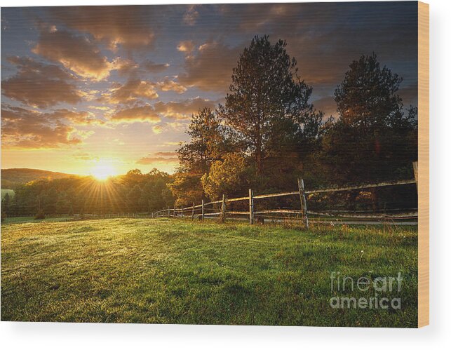 Country Wood Print featuring the photograph Picturesque Landscape Fenced Ranch by Gergely Zsolnai