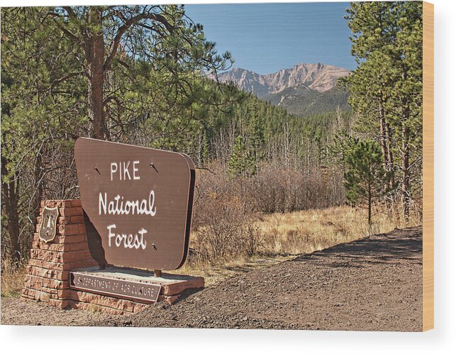 Pike National Forest Wood Print featuring the photograph Pike National Forest by Kristia Adams