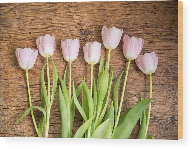Cute Wood Print featuring the photograph Pink Tulips by Top Wallpapers